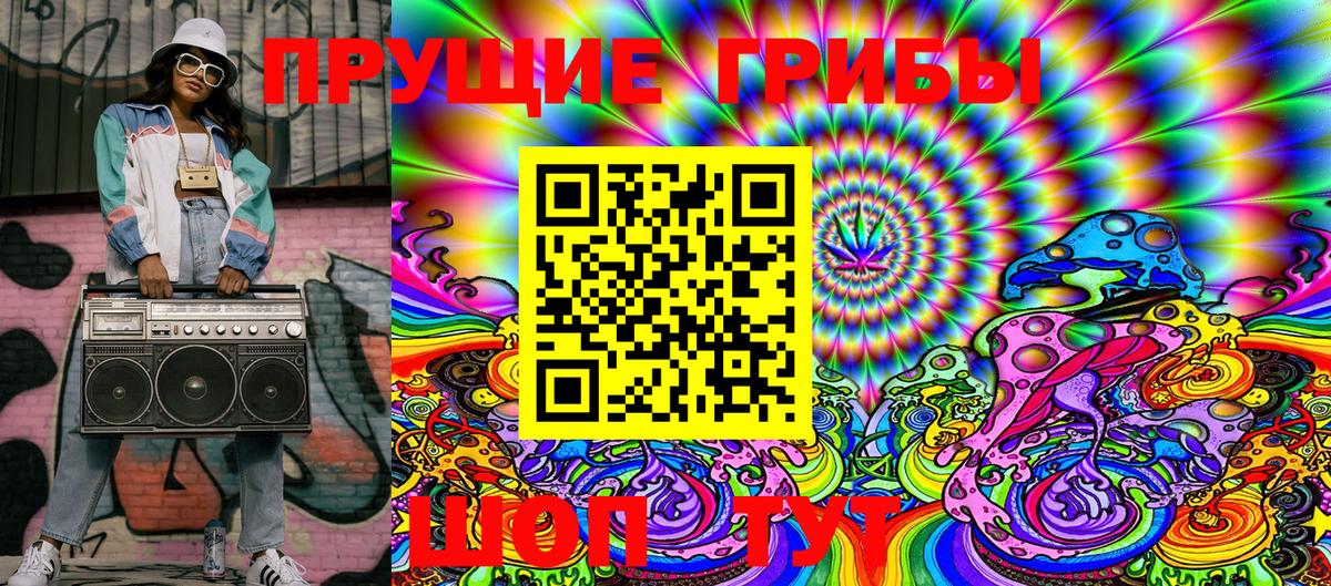 Галлюциногенные грибы Psilocybe  Вход с VPN  Галлюциногенные грибы Cubensis  Курганинск 