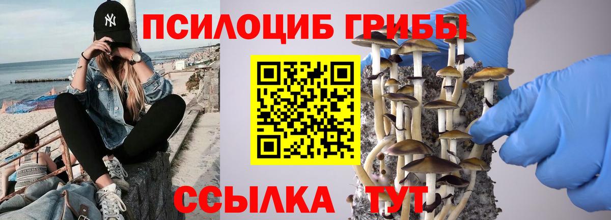 Псилоцибиновые грибы GOLDEN TEACHER Курганинск